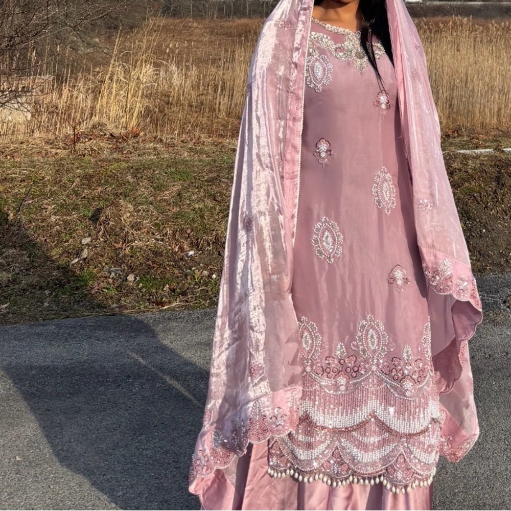 Elegant Blush Pink Embellished Women's Dress